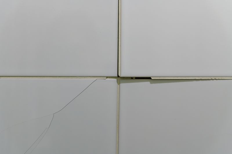 Cracked Tile Replacement